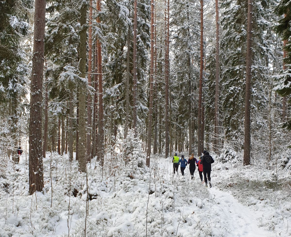 image: Långpassen startar